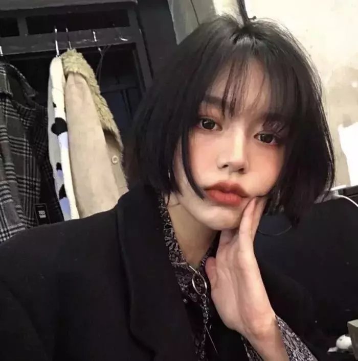 蒂科与鲨鱼